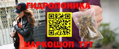 шишки Ипатово