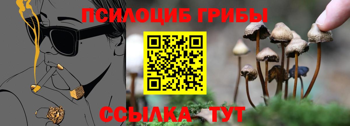 Галлюциногенные грибы Magic Shrooms Новоалтайск