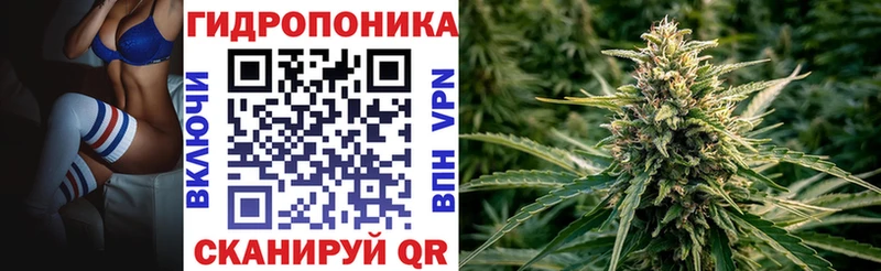 Каннабис сатива  Новоалтайск 